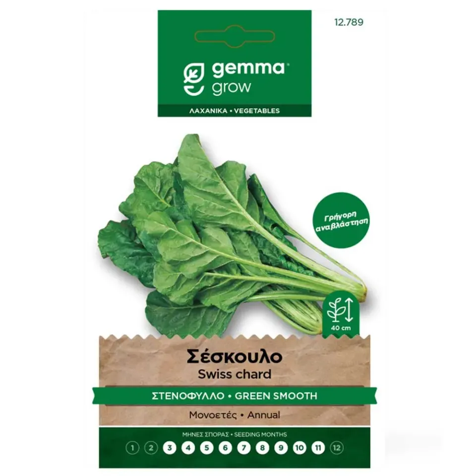MyAgroMarket σπόροι σέσκουλου στενόφυλλου 10g
