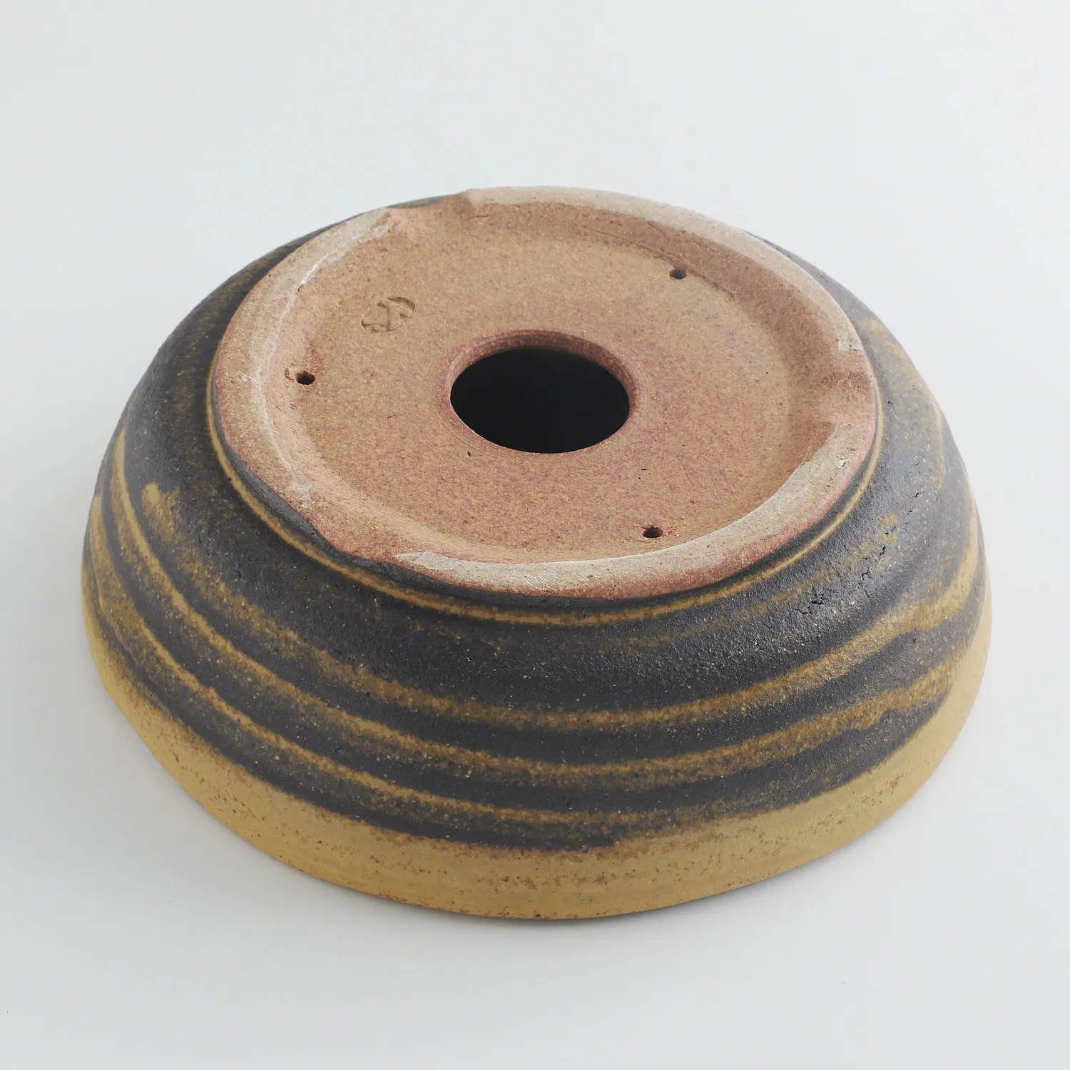 Wazakura Shigaraki γλάστρα μπονσάι 210mm ριγέ καφέ