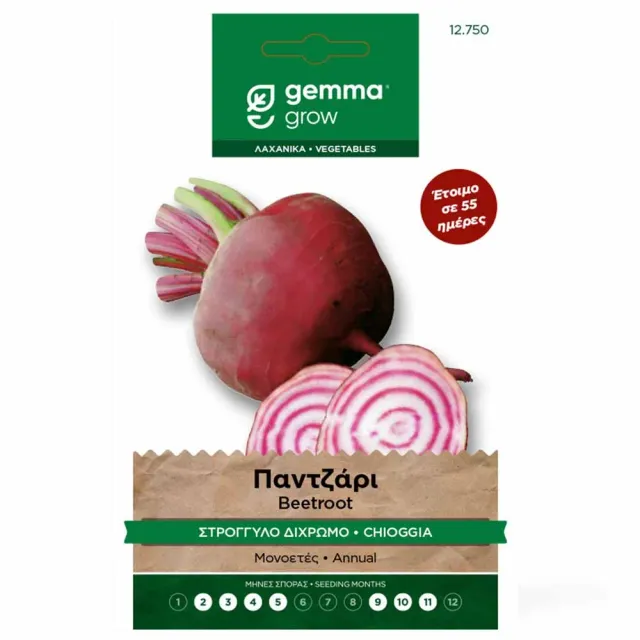 MyAgroMarket Chioggia παντζάρι δίχρωμο σπόροι 10gr μεσοπρώιμο