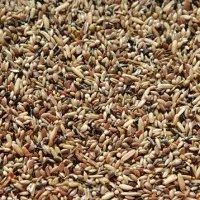 MyAgroMarket κελαηδίνη χρώματος τροφή καναρινιών 20kg