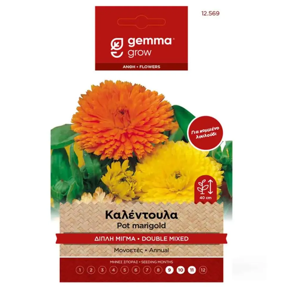 MyAgroMarket Καλέντουλα Διπλή σπόροι λουλουδιών 0,8gr μίγμα