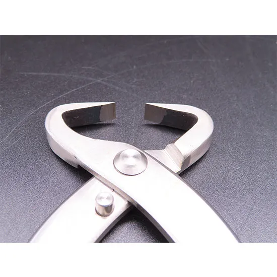 Tanabe trunk splitter L σχιστήρι μπονσάι