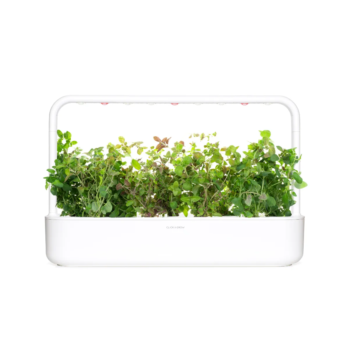 Click and Grow Oregano κάψουλες φυτών 9-pack μεσογειακή