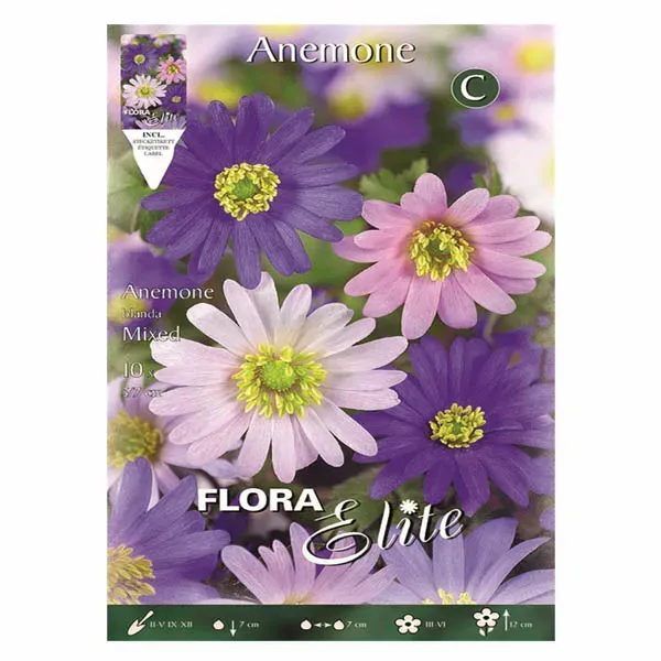 MyAgroMarket Ανεμώνη Blanda Μίγμα 10 Βολβοί 5/6