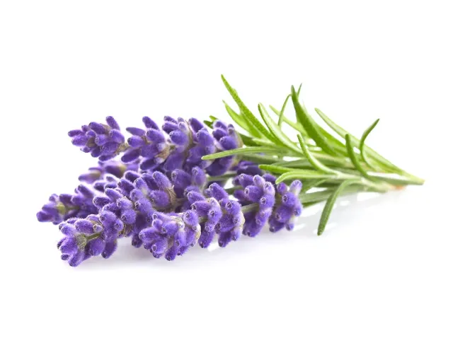 Click and Grow Lavender κάψουλες φυτών 3 τεμ αρωματική