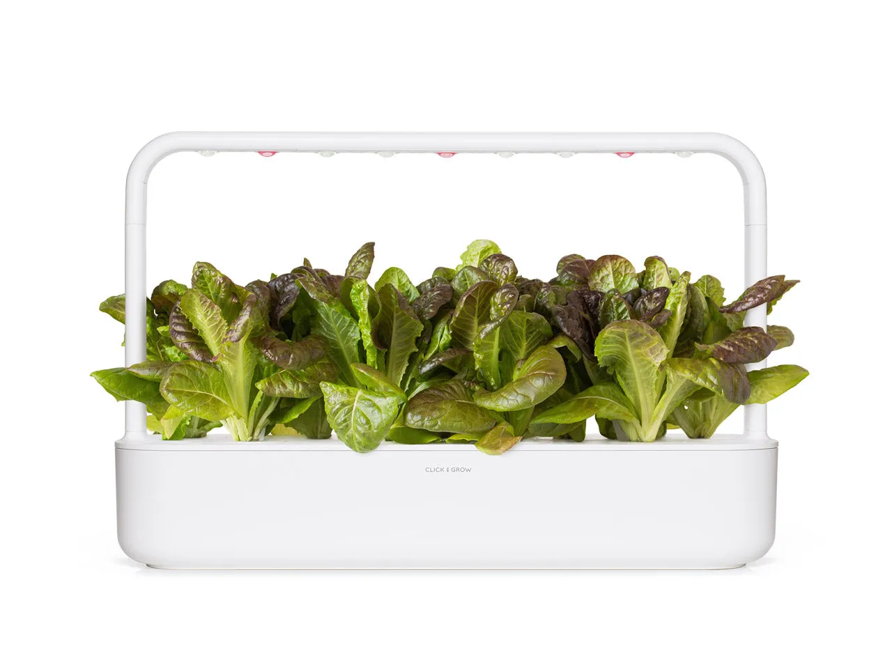 Click and Grow Red Romaine κάψουλες φυτών 3-pack τραγανό