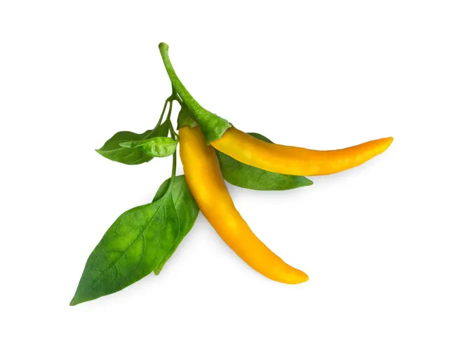 Click and Grow Yellow Chili κάψουλες φυτών 3-pack καυτερή