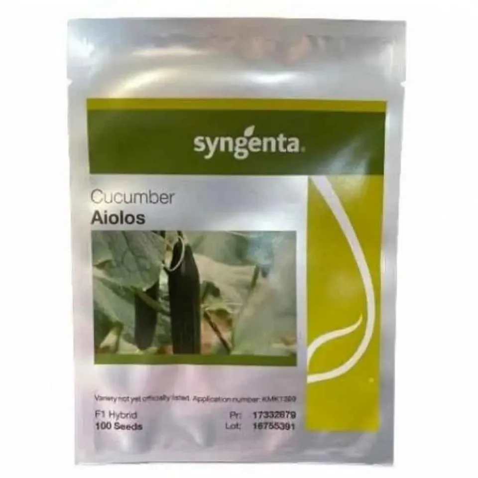 MyAgroMarket Aiolos F1 αγγούρι σπόροι 500 τεμ μακρύ