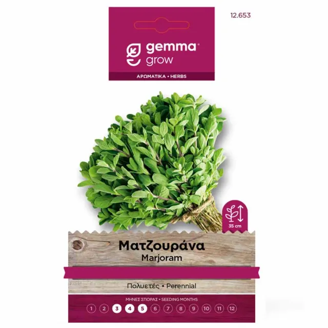 MyAgroMarket Ματζουράνα 0,8gr σπόροι βοτάνων πολυετές