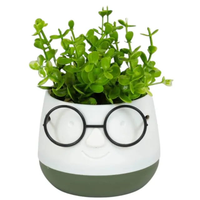 MyAgroMarket Face with Glasses τεχνητό φυτό 10x13cm