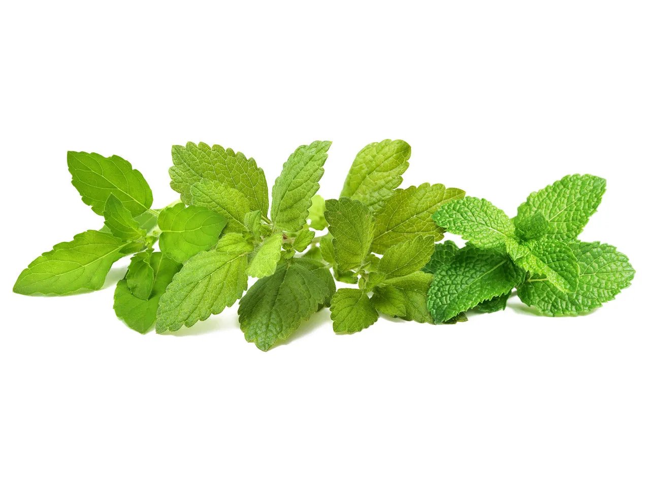 Click and Grow Calming Tea Mix κάψουλες βοτάνων 9-pack