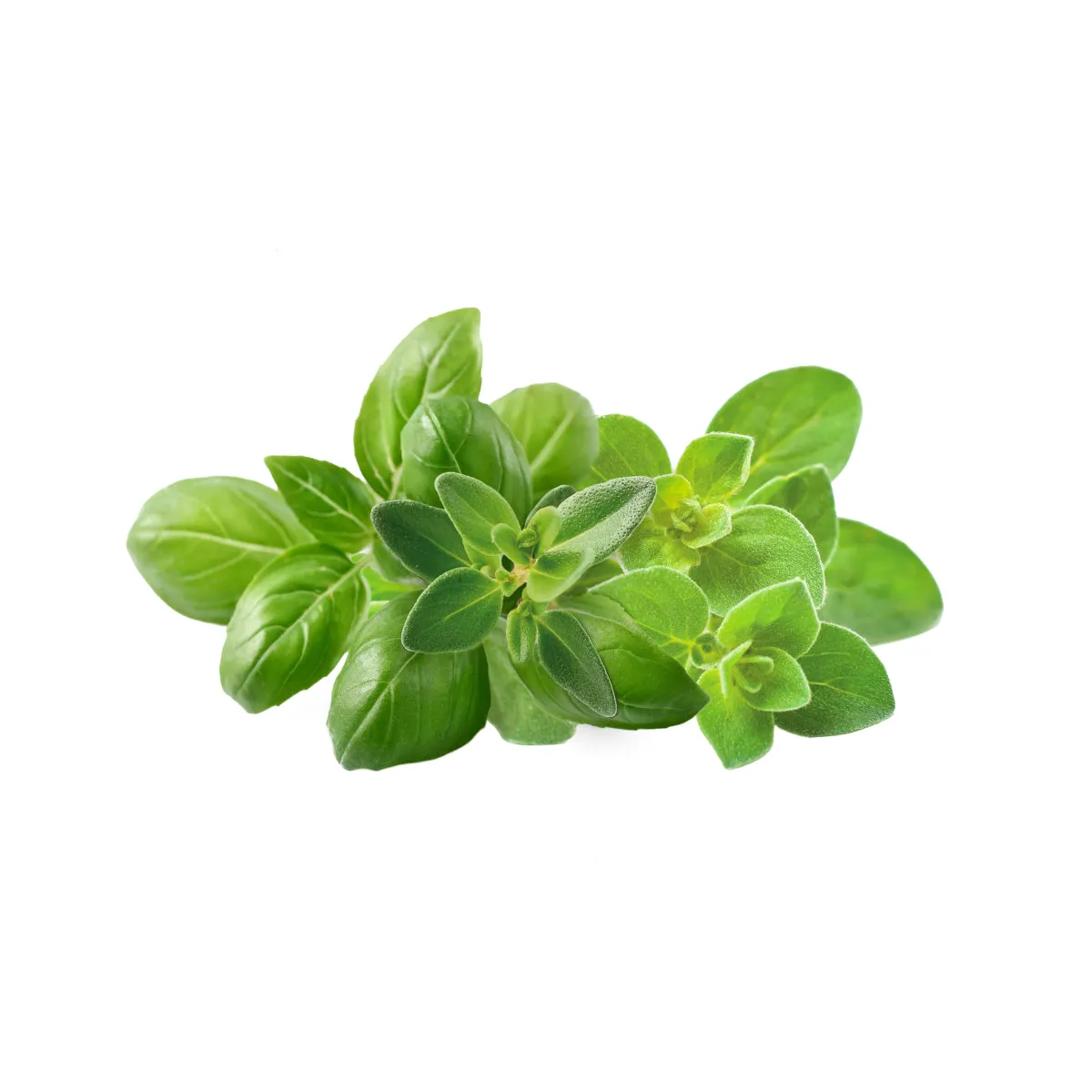 Click and Grow Italian Herb Mix κάψουλες 9-pack μεσογειακό