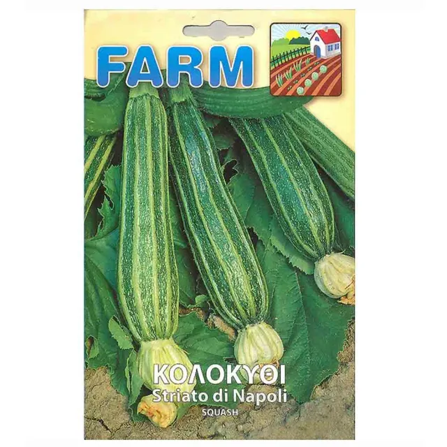 MyAgroMarket Κολοκύθι Ριγωτό Σπόροι 6gr Striato di Napoli