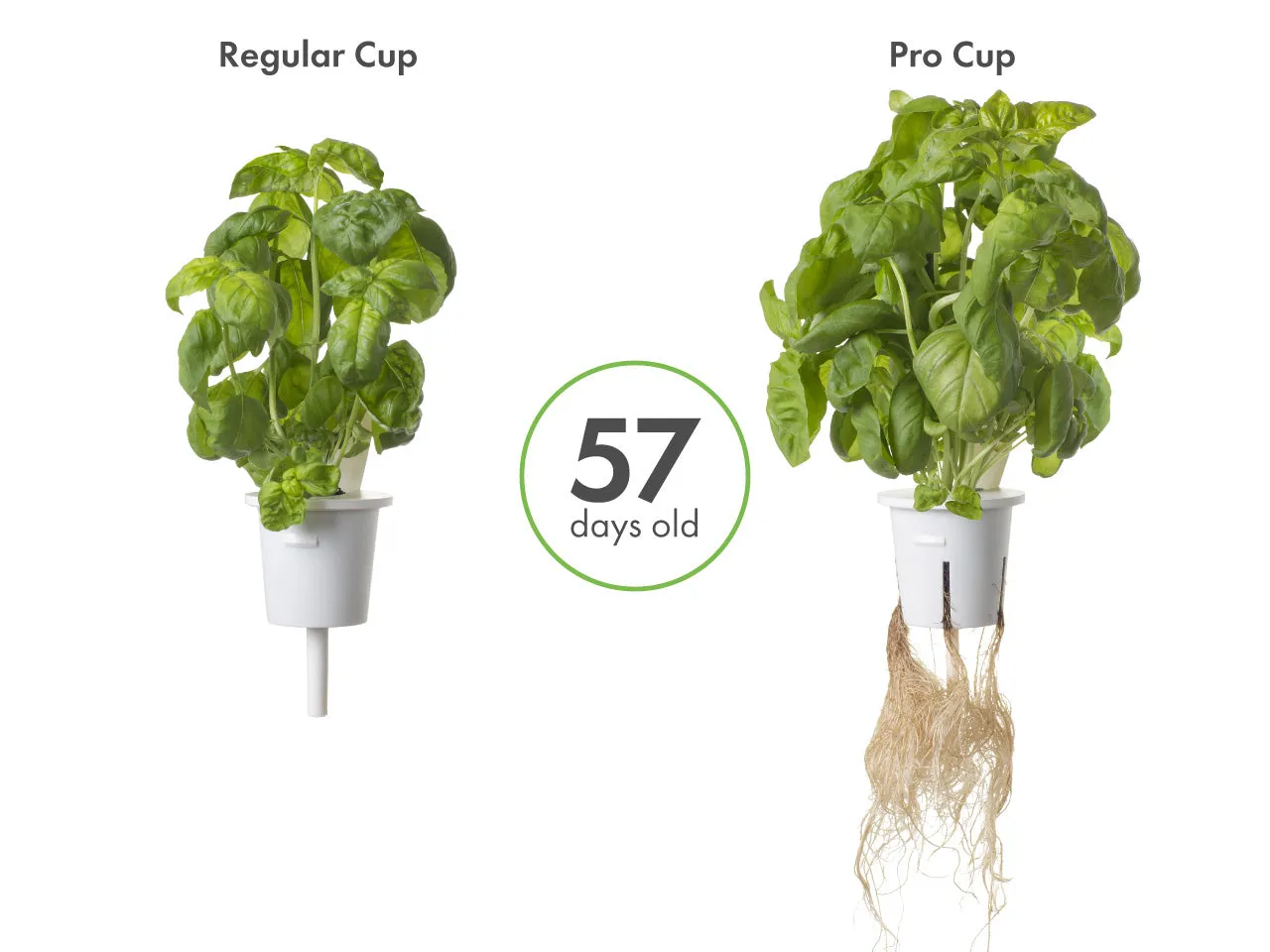 Click and Grow Pro Cups γλαστράκια διάτρητα 9 τεμ ενισχυμένα