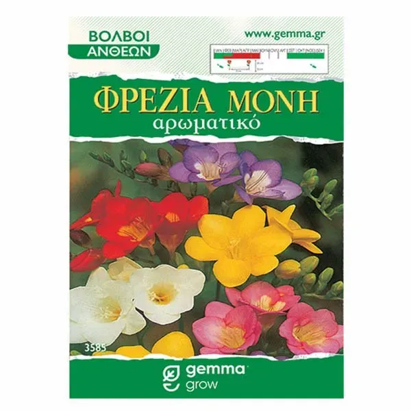 MyAgroMarket Φρέζια μονή βολβοί 6 τεμ μίγμα αρωματική