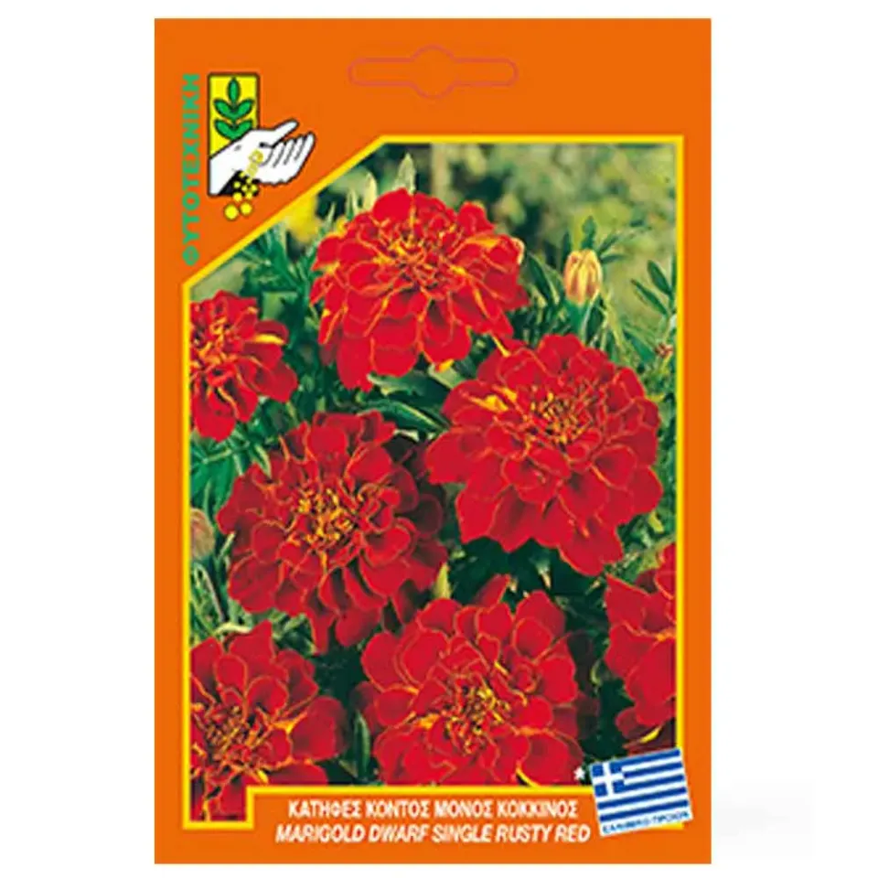 MyAgroMarket Κατιφές Κόκκινος σπόροι 1gr κοντός