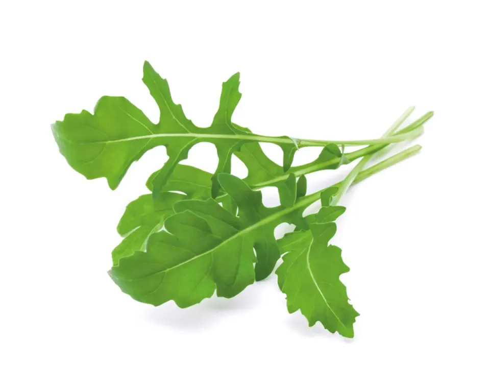 Click and Grow Arugula κάψουλες 3 τεμ ρόκα