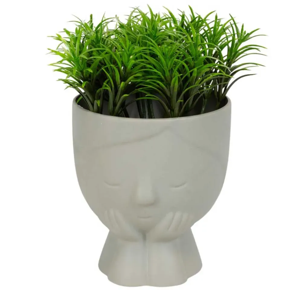 MyAgroMarket Face τεχνητό φυτό σε γλάστρα 9x15cm