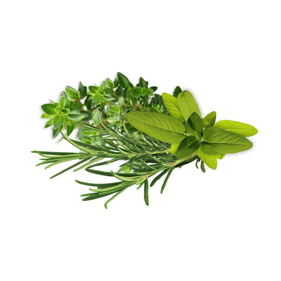 Click and Grow Thanksgiving Herb Mix κάψουλες 9-pack τριάδα