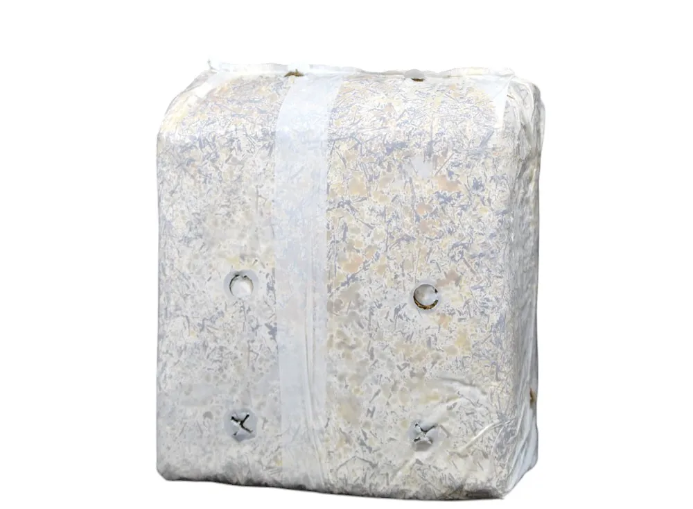 MyAgroMarket πλευρώτους μπλοκ μανιταριών 17kg έτοιμο
